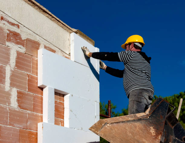 Best Residential Insulation in Princeton, IL