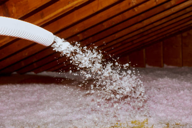 Best Residential Insulation in Princeton, IL