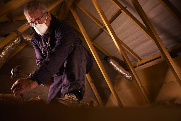 Best Insulation for Specific Applications in Princeton, IL